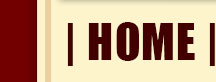 Best NY Pizza Home
